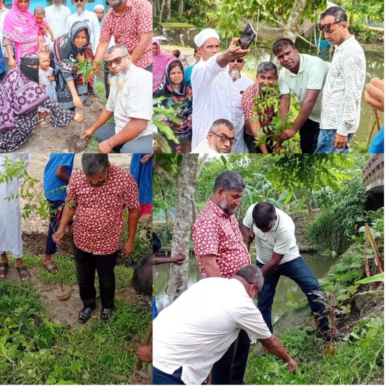 মাদারীপুরের টুবিয়া সরকারি প্রাথমিক বিদ্যালয় প্রাঙ্গনে বৃক্ষরোপন কর্মসূচি পালন