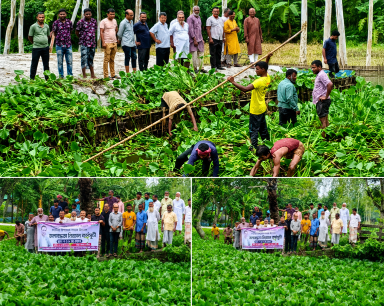 কাউনিয়ায় জলাবদ্ধতা নিরসনে সেতুর মুখে আটকে থাকা কচুরিপানা অপসারণ
