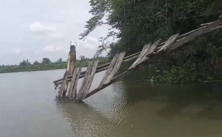 কাউনিয়ায় ভাঙা ব্রিজে চরম দুর্ভোগ, জীবনের ঝুঁকি নিয়ে ডিঙি নৌকায় নদী পারাপার