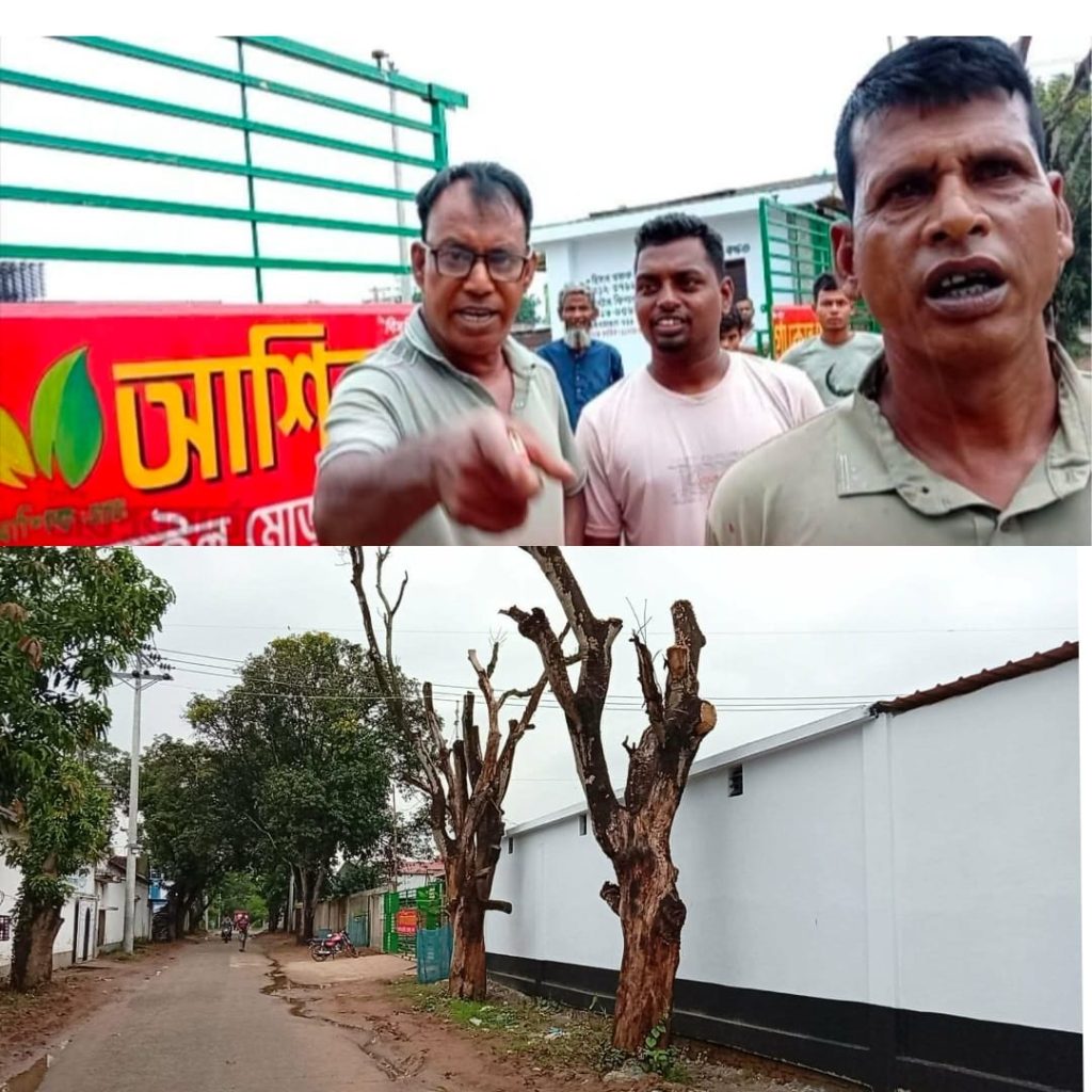 মহাদেবপুর উপজেলার ধুনজইল মোড়ে সরকারি গাছের মা-থা কে-টে ফেলার ও ফুটেজ মুছে দেওয়ার অভিযোগ!