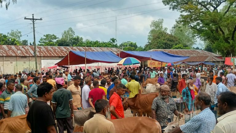 ভ্রাম্যমাণ আদালতের জরিমানার পরও থামেনি ভাউলাগঞ্জ হাটে অতিরিক্ত টোল