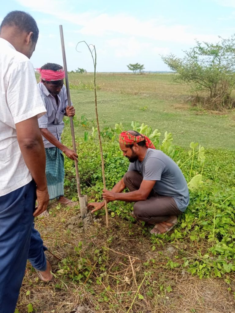 চিলমারীতে আদালতের নিষেধাজ্ঞা অমান্য করে গাছ ও কংক্রিটের সিঁড়ি উপড়ে ফেলার অভিযোগ
