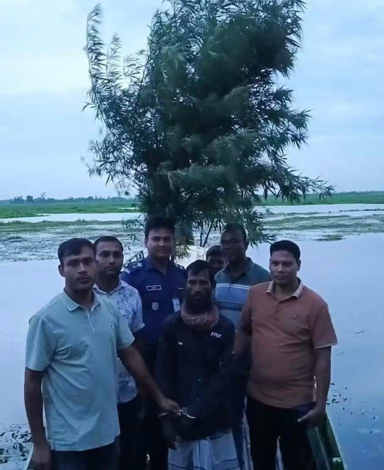 সিংড়ায় গাঁজার গাছসহ মাদক ব্যবসায়ি আটক