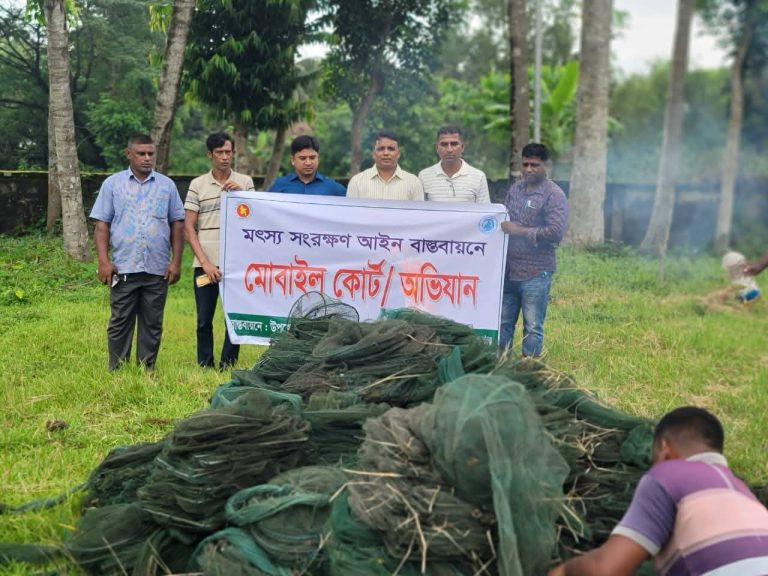 টুঙ্গিপাড়ায় বিলে অভিযান, ৪৯টি চায়না দুয়ারী জা-ল ধ্বং-স