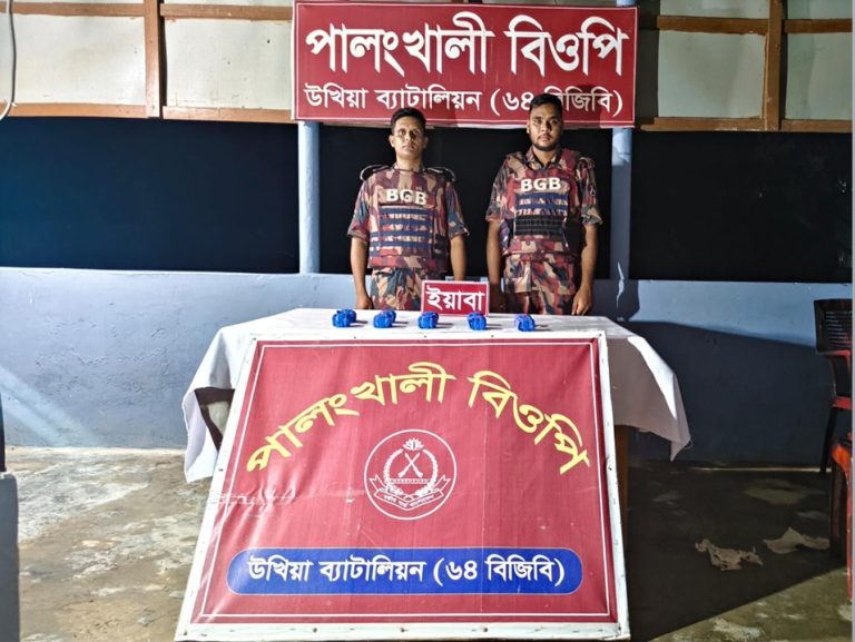 পালংখালী সীমান্তে ২০ হাজার ই-য়া-বা উ-দ্ধার, পালিয়ে গেল পা-চার-কারী