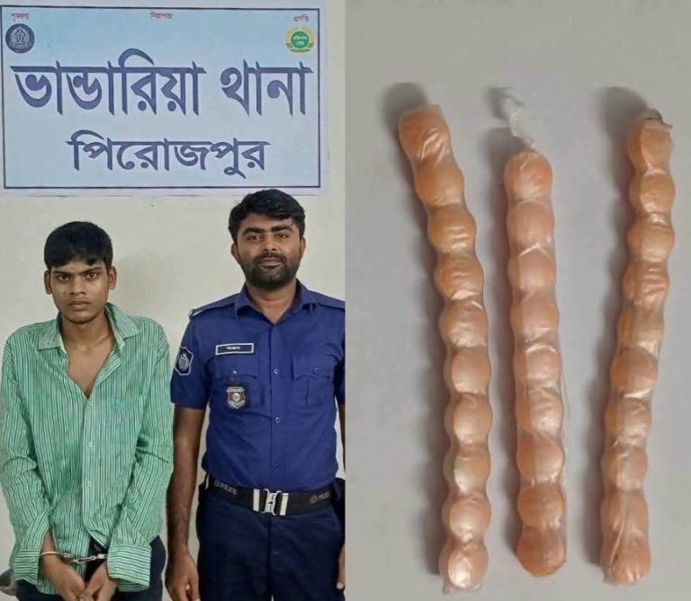 পিরোজপুর ভান্ডারিয়া ৩০ পিচ ই-য়া-বা সহ মা-দক ব্যবসায়ী গ্রে-ফ-তার